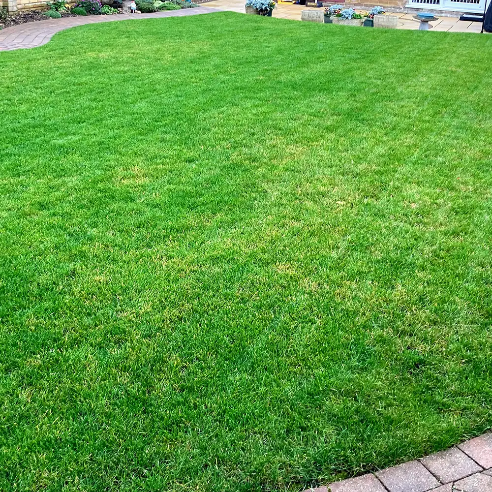 after lawn treatments Hertfordshire