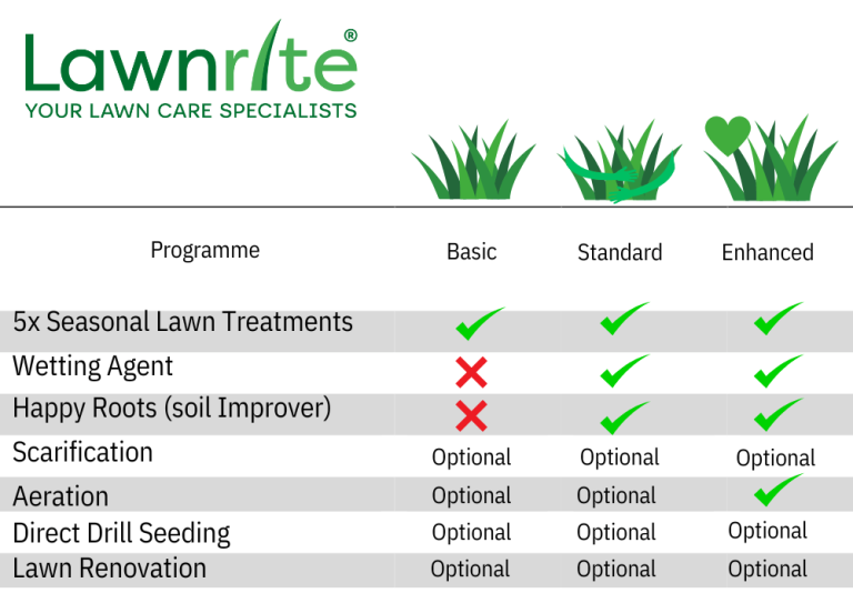 lawn care plan