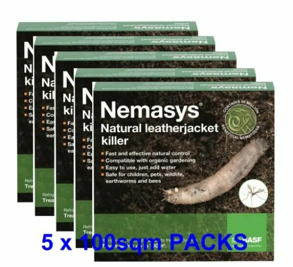 BULK PACK of Leatherjacket Nematodes 500 sqm